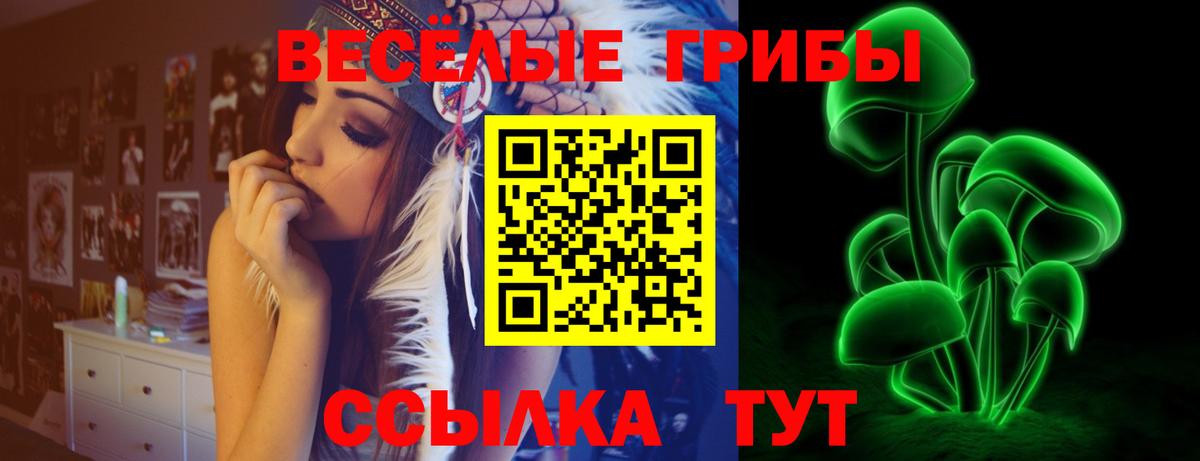 Кунгур  Псилоцибиновые грибы мухоморы  Вход с VPN  Галлюциногенные грибы мицелий 